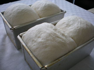 c0095424_11165677.jpg