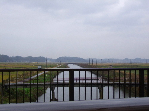 a0000029_2313549.jpg
