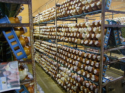 a0000029_2349650.jpg