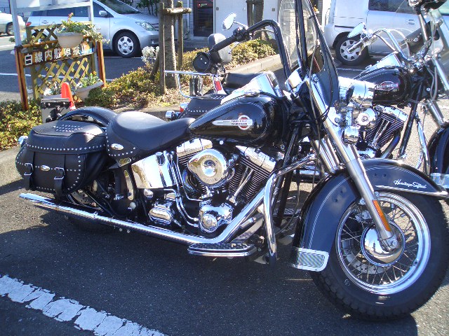 a0099129_182985.jpg