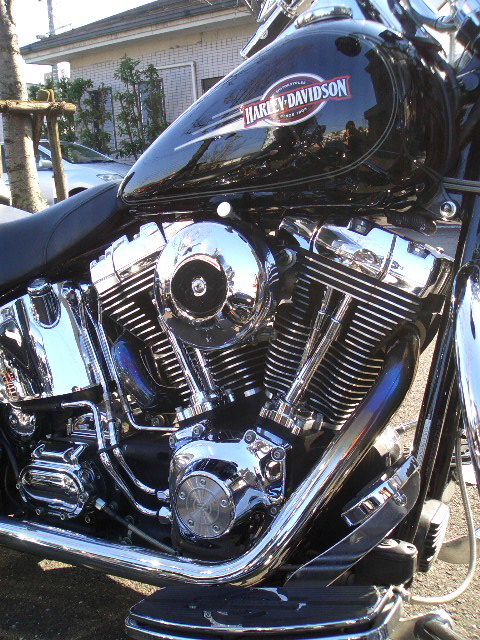 a0099129_1831037.jpg
