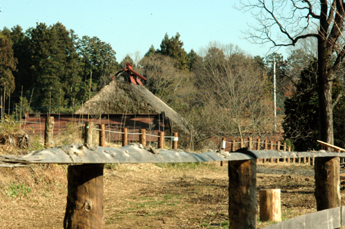 c0192930_8571547.jpg