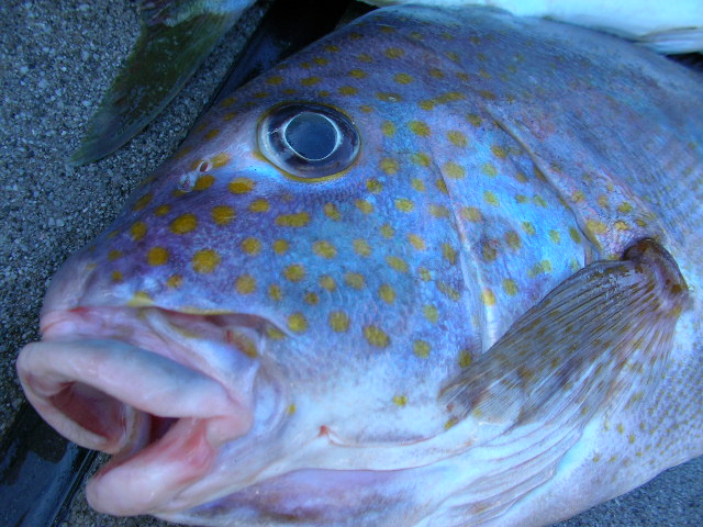 a0132631_17483352.jpg