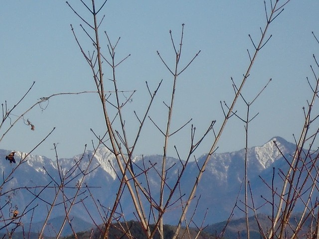 a0148431_2049438.jpg