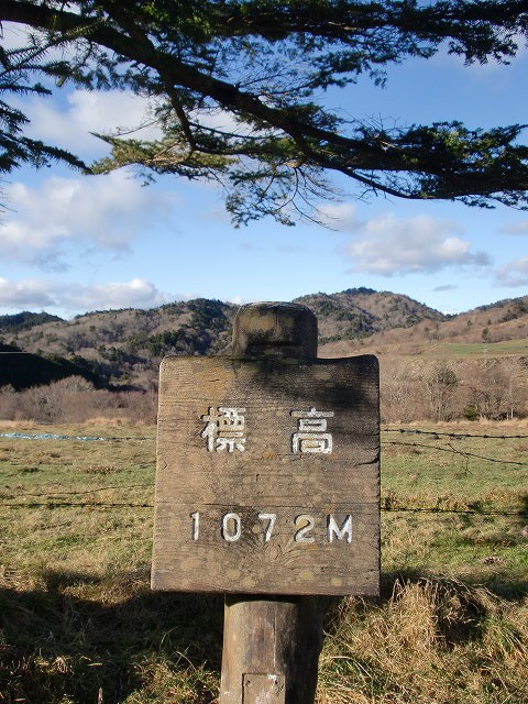 a0148431_2050179.jpg