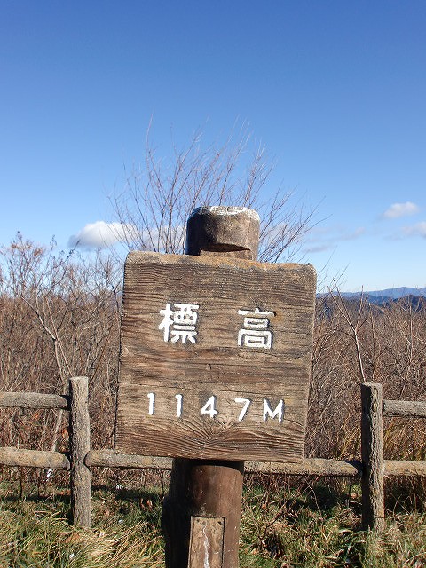 a0148431_2055991.jpg