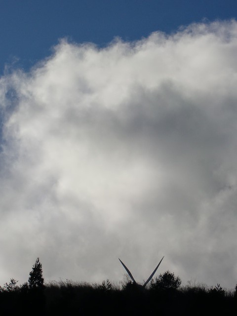 a0148431_21423252.jpg