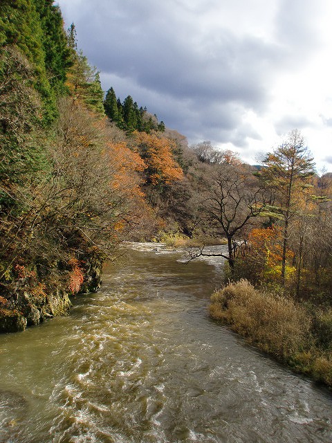 a0148431_22473467.jpg