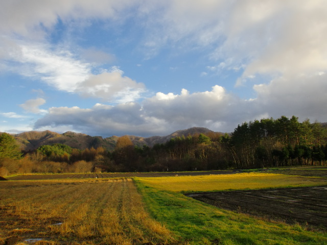 a0148431_2342650.jpg