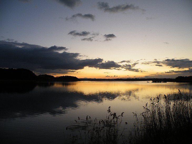 f0118332_2114070.jpg