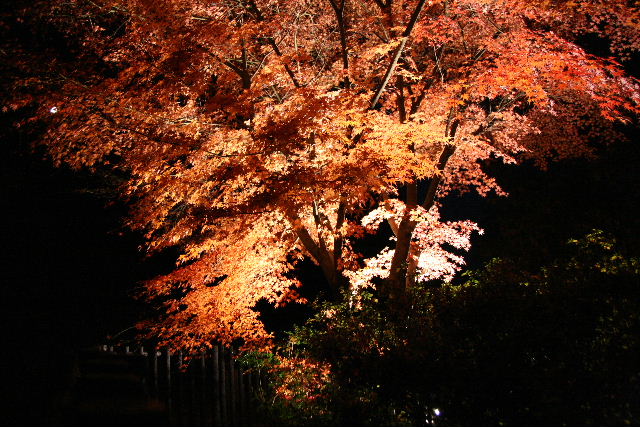 e0064133_0125037.jpg