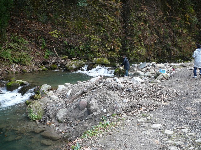 c0194535_17535130.jpg