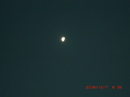 b0012636_8244794.jpg