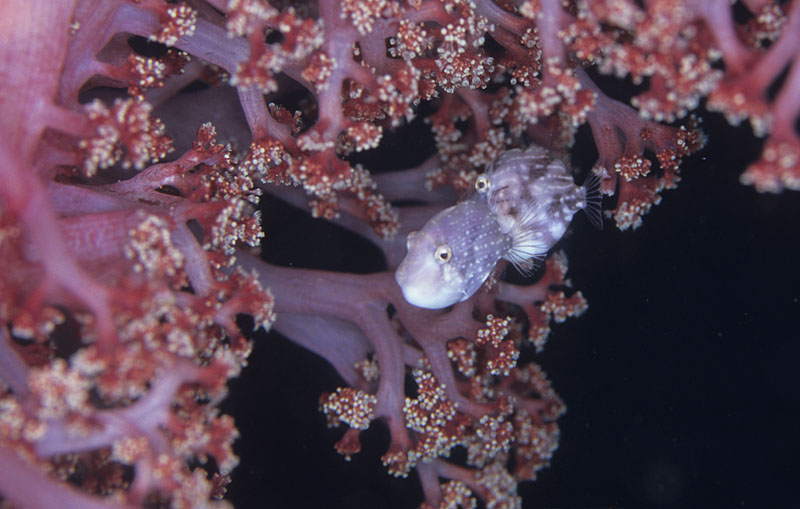 b0042837_20364762.jpg