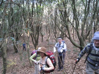 c0077338_725894.jpg
