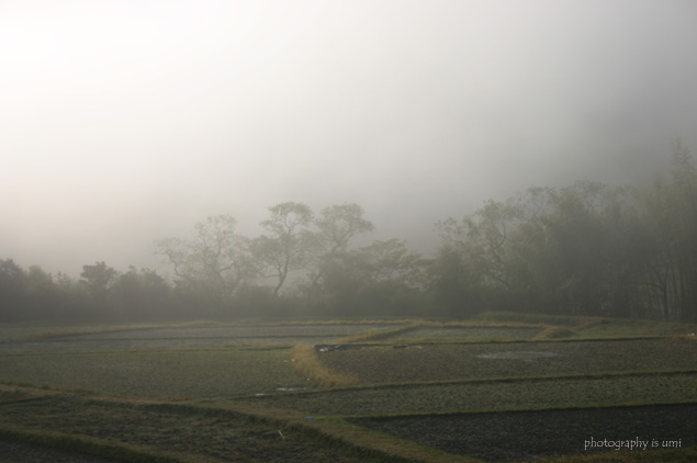 e0083238_23504715.jpg