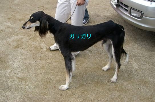 f0039538_2140635.jpg