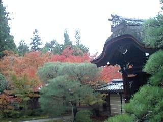 b0039840_2343578.jpg