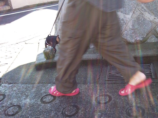 e0150843_0592396.jpg