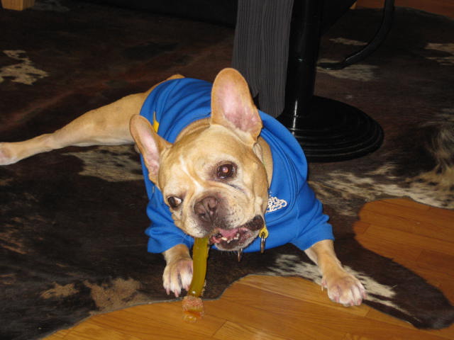 f0090344_1132524.jpg