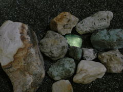 e0005548_0352427.gif
