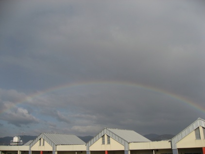 c0073649_1471767.jpg