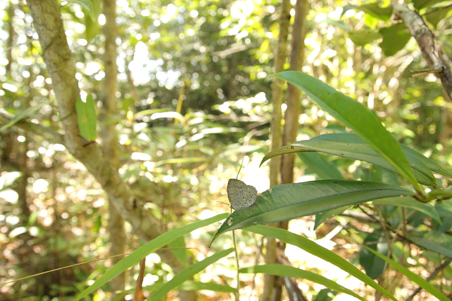 a0094850_214724.jpg