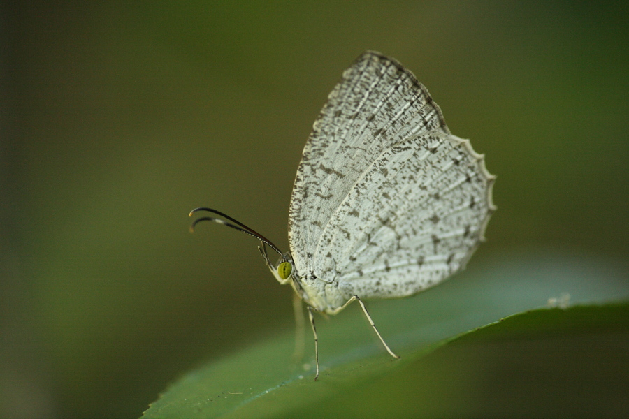 a0094850_215290.jpg