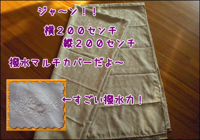 d0139352_0214818.jpg