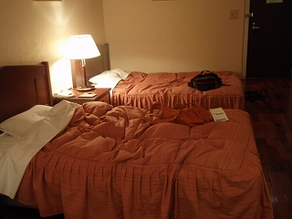 c0226553_15331926.jpg