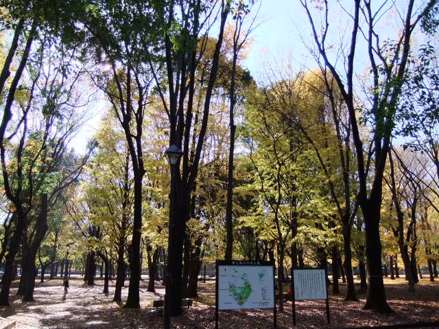 d0141457_13493820.jpg