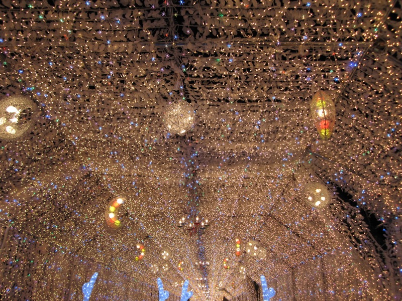 c0214259_22592648.jpg