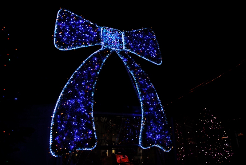 c0214259_23721.jpg