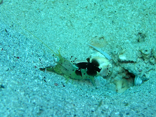 b0062363_20172374.jpg