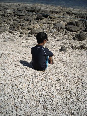 f0062870_8255694.jpg