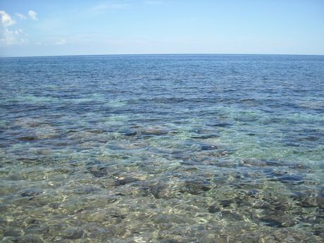 f0062870_8265165.jpg