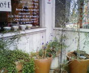 c0214272_16453194.jpg