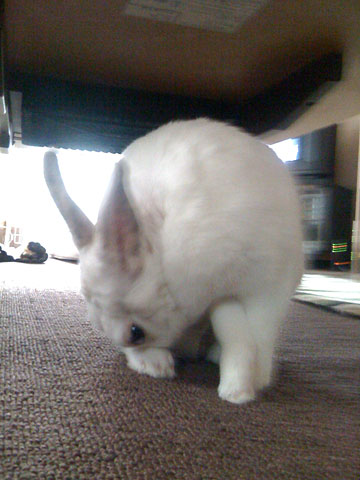 f0201191_013146.jpg