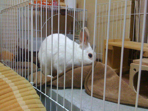 f0201191_035653.jpg