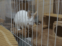 f0201191_045576.gif