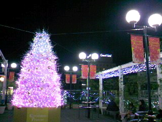 a0103293_18305178.jpg