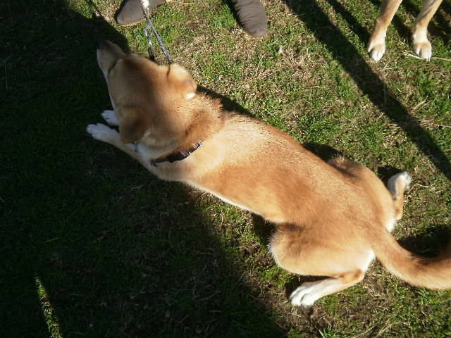 a0053598_22584492.jpg