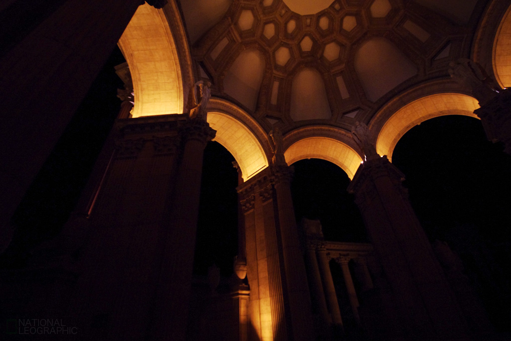 c0080101_6144140.jpg