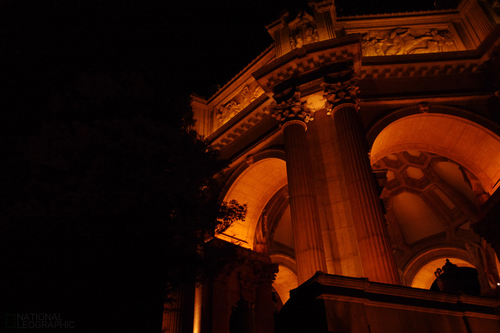 c0080101_6151225.jpg