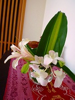 c0148705_2161948.jpg