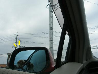 c0205806_19133049.jpg