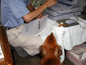 e0179308_22441237.gif
