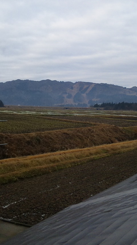 f0121909_8422171.jpg