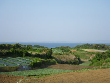 a0142117_220848.jpg