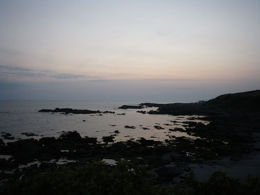 a0142117_3174723.jpg